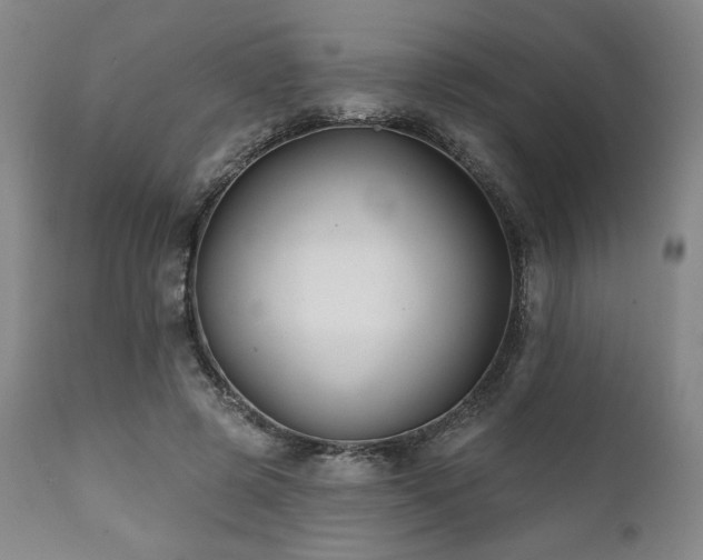 X0000111820545200907231320