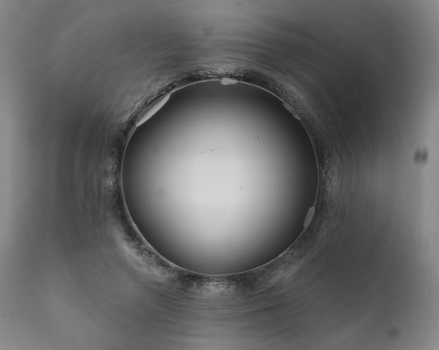 X0000111820546200907231321