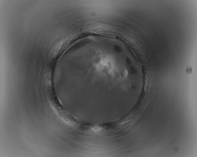 X0000111820547200907231321