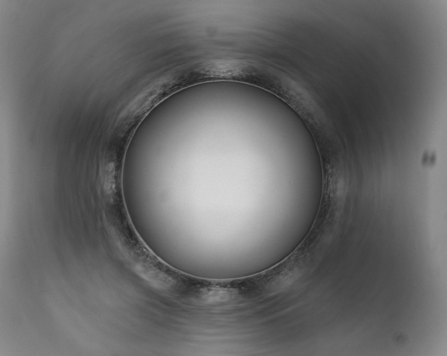 X0000111820549200907231321