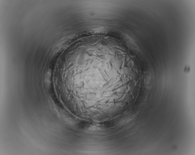 X0000111820550200907231321
