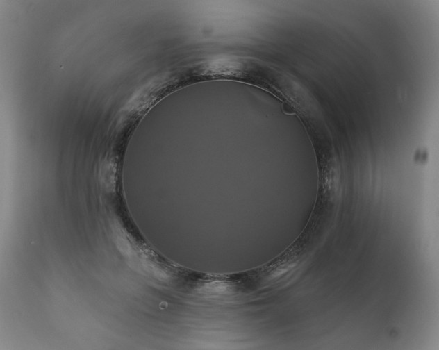 X0000111820551200907231321