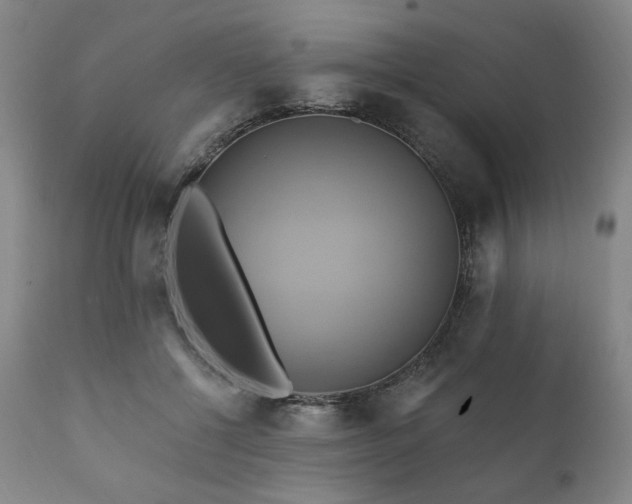 X0000111820552200907231321