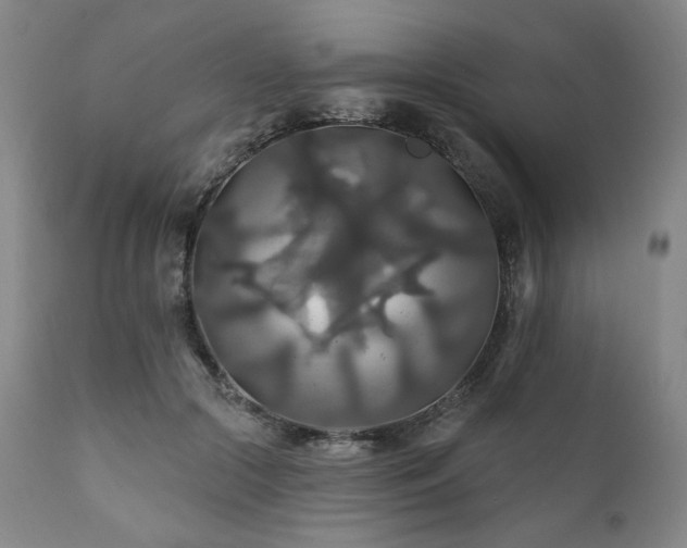 X0000111820553200907231321