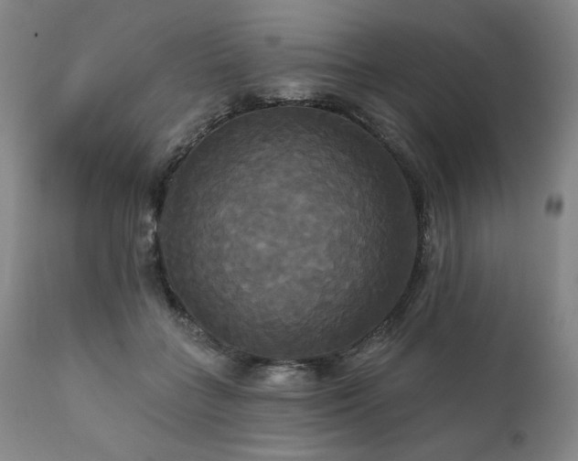 X0000111820555200907231321