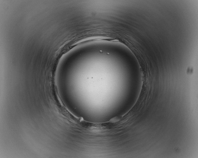 X0000111820556200907231321