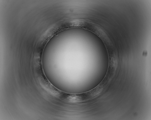 X0000111820557200907231321