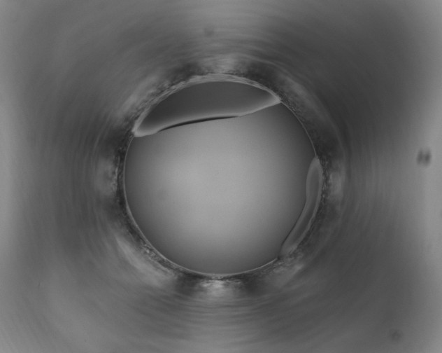 X0000111820558200907231321