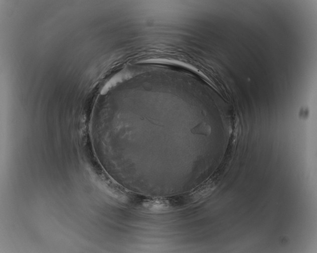X0000111820559200907231321