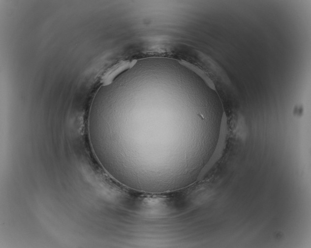 X0000111820560200907231321