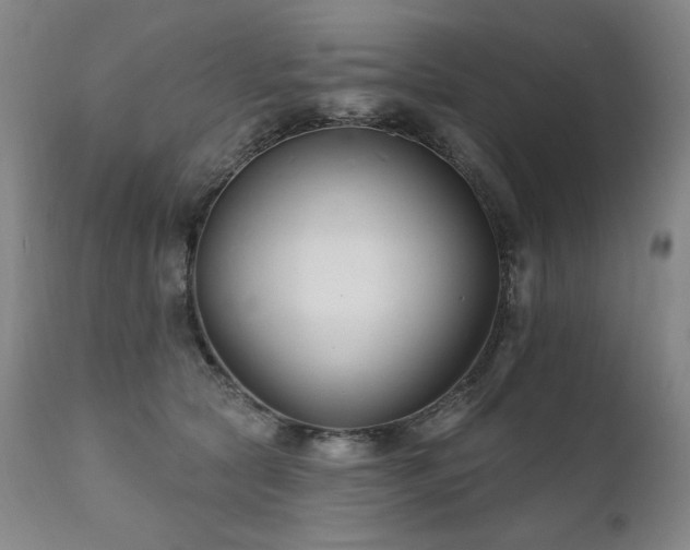 X0000111820561200907231321