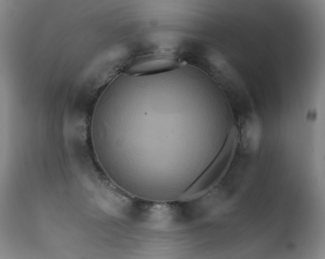 X0000111820562200907231321
