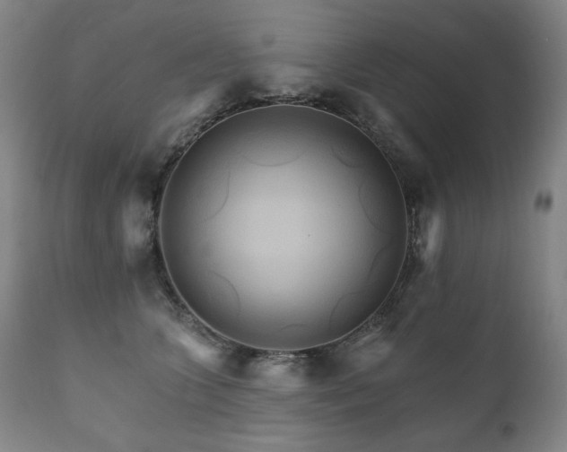 X0000111820563200907231321