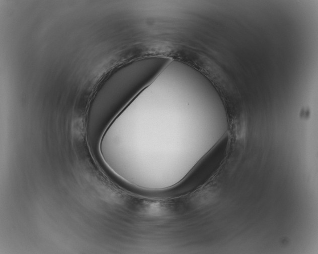 X0000111820564200907231321