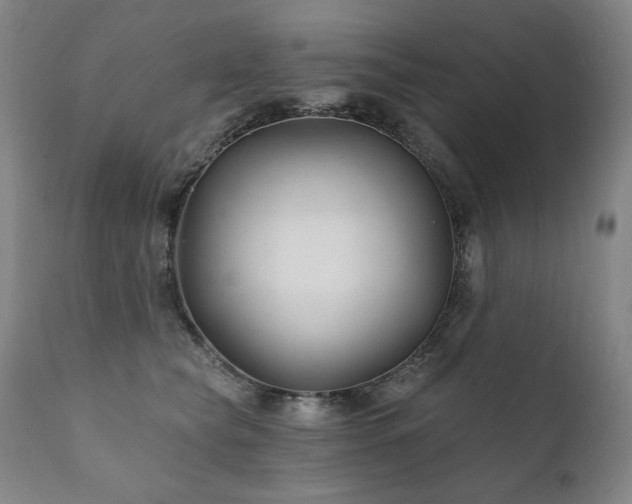 X0000111820565200907231321