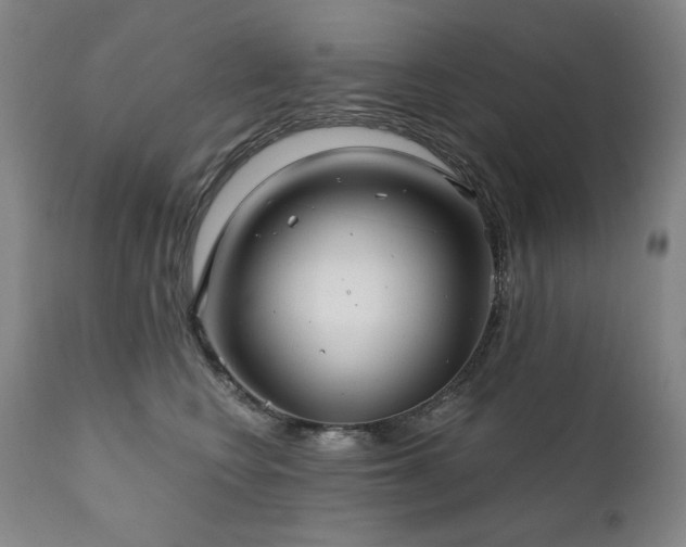 X0000111820566200907231321