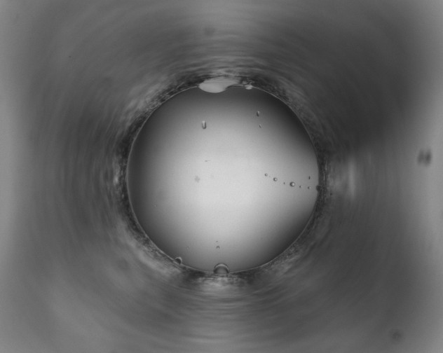 X0000111820567200907231321
