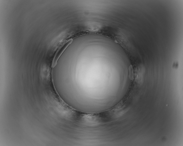 X0000111820568200907231321