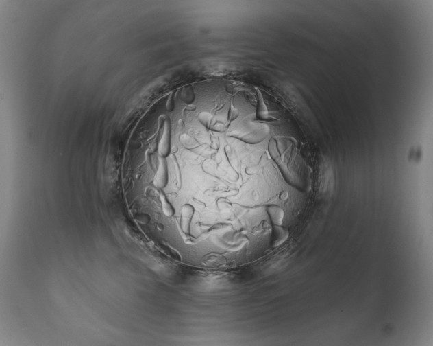 X0000111820569200907231321