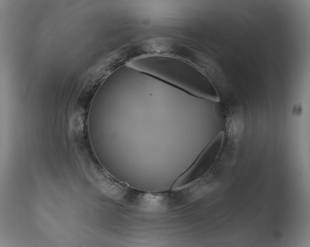 X0000111820570200907231321