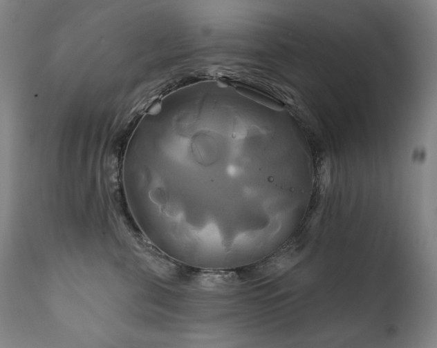X0000111820571200907231321