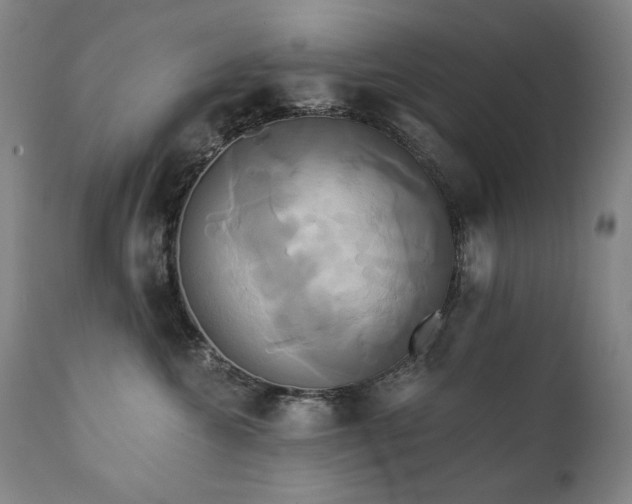 X0000111820572200907231321