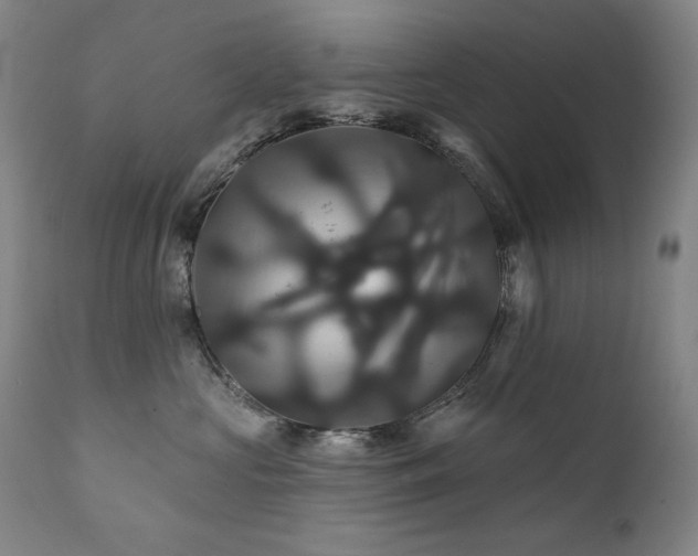 X0000111820573200907231321