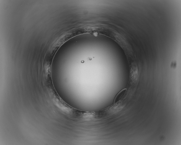 X0000111820574200907231321