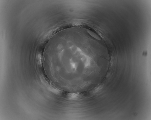 X0000111820575200907231321