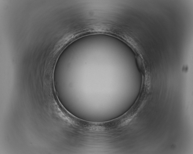 X0000111820577200907231320