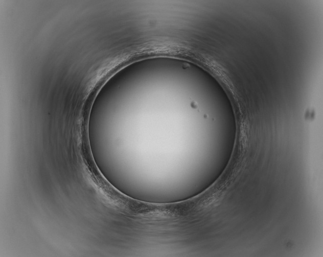 X0000111820578200907231320