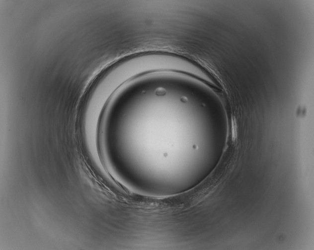 X0000111820579200907231320