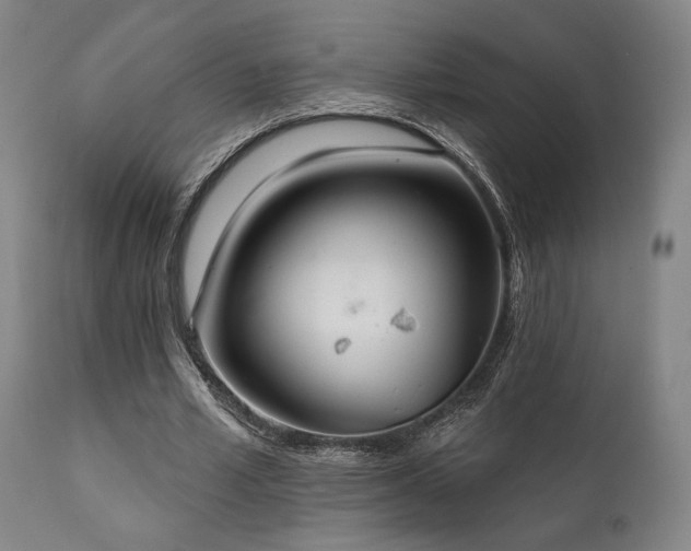 X0000111820581200907231320