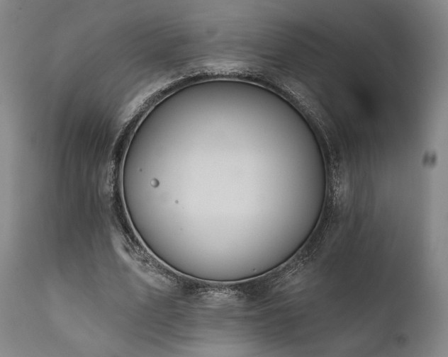 X0000111820583200907231320