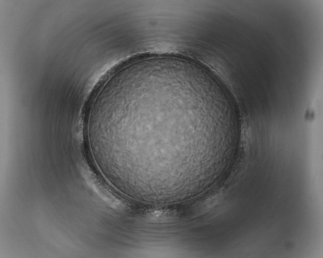X0000111820584200907231320