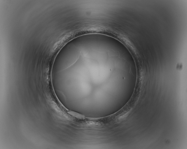 X0000111820585200907231320