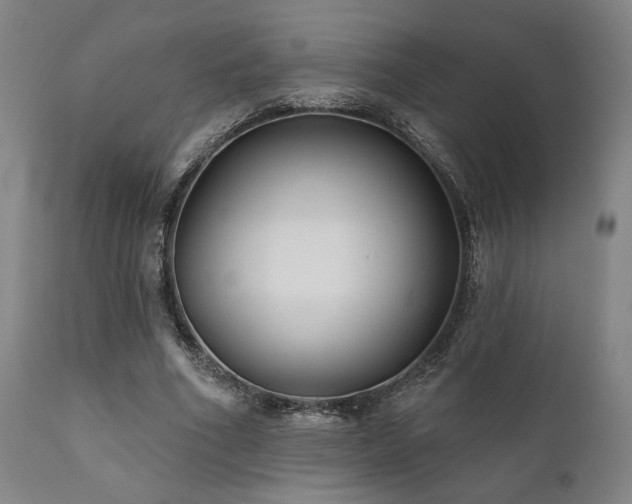 X0000111820586200907231320