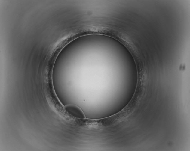 X0000111820587200907231320