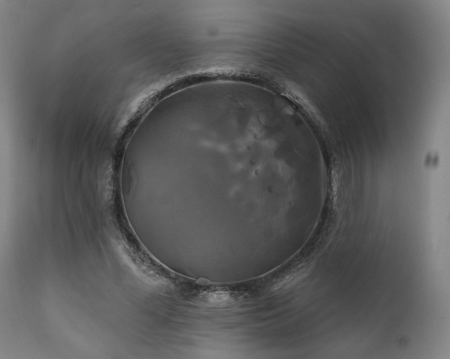 X0000111820588200907231320