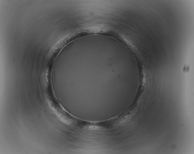 X0000111820590200907231320