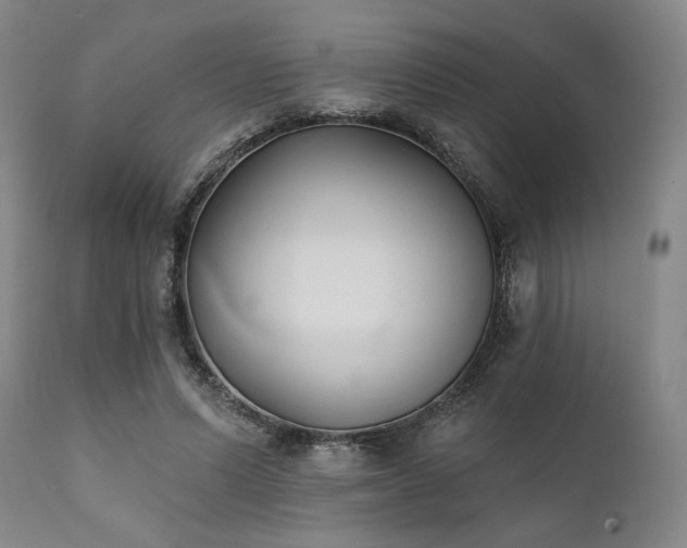 X0000111820591200907231320