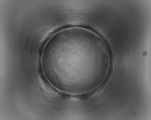 X0000111820592200907231320