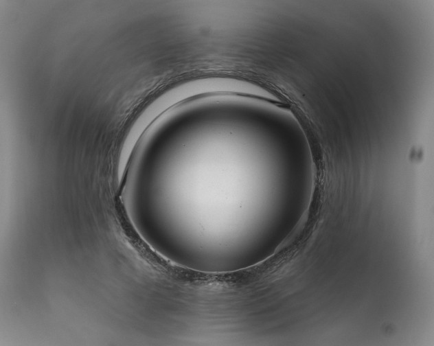 X0000111820593200907231320