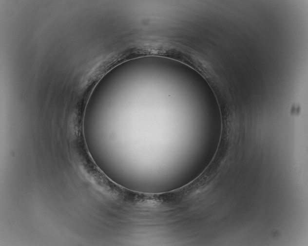 X0000111820594200907231320