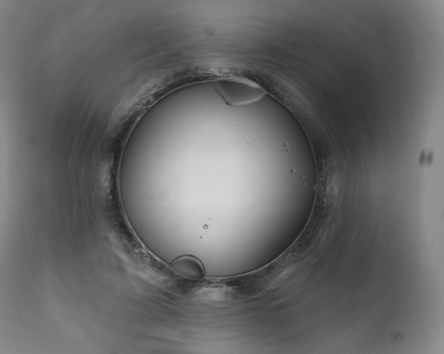 X0000111820595200907231320