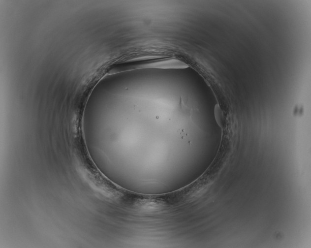 X0000111820597200907231320