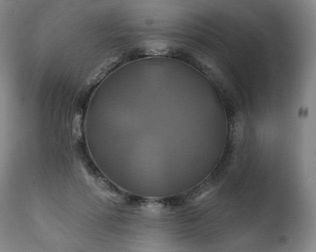 X0000111820598200907231320