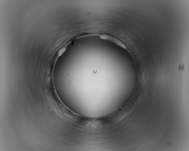 X0000111820599200907231320