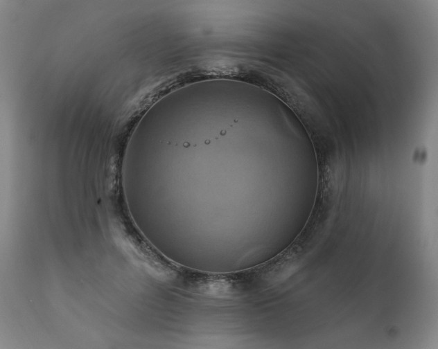 X0000111820600200907231320