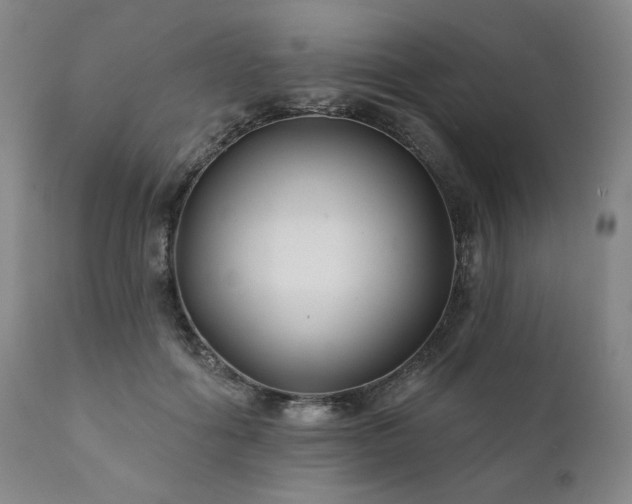 X0000111820602200907231320